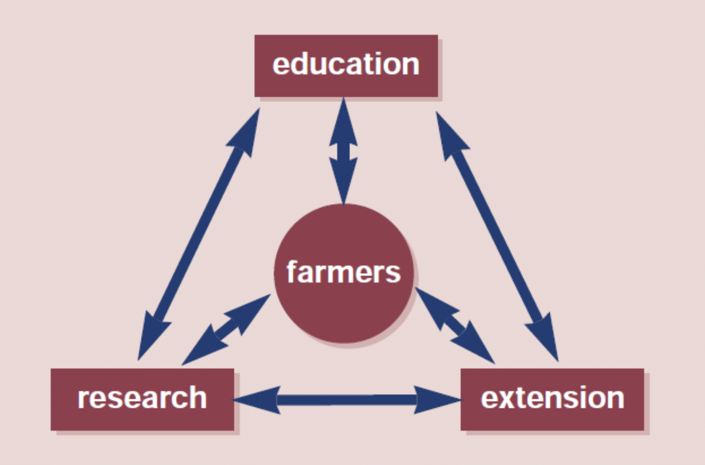 Agricultural Knowledge Information Systems Agrifutures Extension Practice